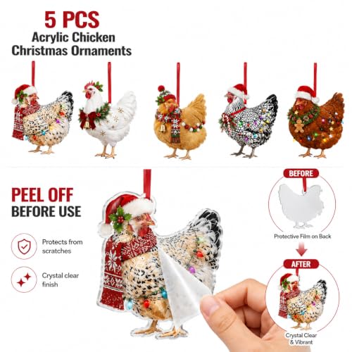 Funny Chicken Christmas Ornaments - Farmhouse Holiday Tree Decorations (Set of 5)