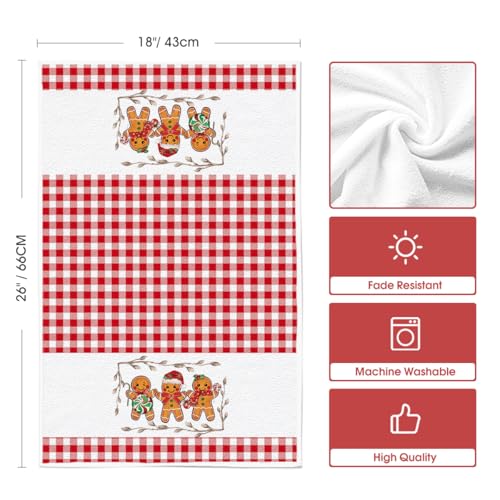 Artoid Mode Red Candy Christmas Kitchen Towels Set of 2 18x26 Inches