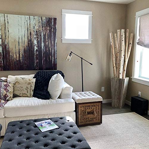 Natural White Birch Poles for Home Decor, 6 ft x 1-1.5 inch (3 Pack)