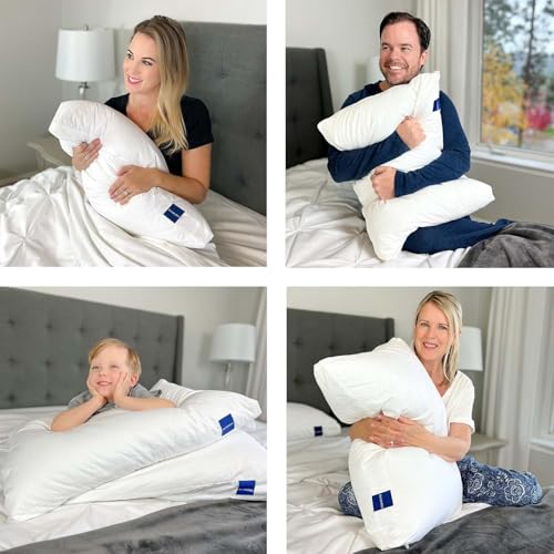 Adjustable King Size Pillows Set of 2 | Hybrid Memory Foam & Down Alternative