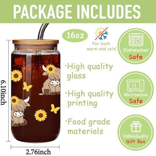 Highland Cow Glass Mug with Lid & Straw - 16 oz Coffee Tea Cup Gift for Women