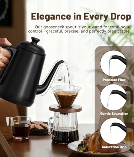 1L Gooseneck Electric Kettle for Pour Over Coffee and Tea, Fast Heating