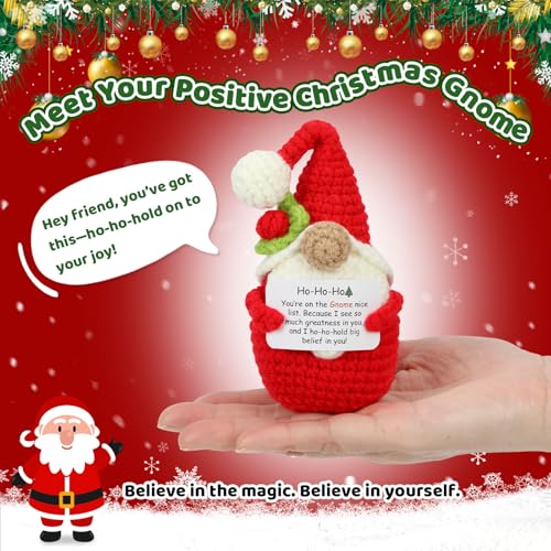 Holly the Xmas Gnome Christmas Crochet Decoration - Inspirational Holiday Gift for Women