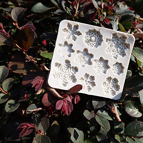 CNYMANY 2-Pack 20-Cavity Snowflake Fondant Molds - Silicone Cake Decorating Tools