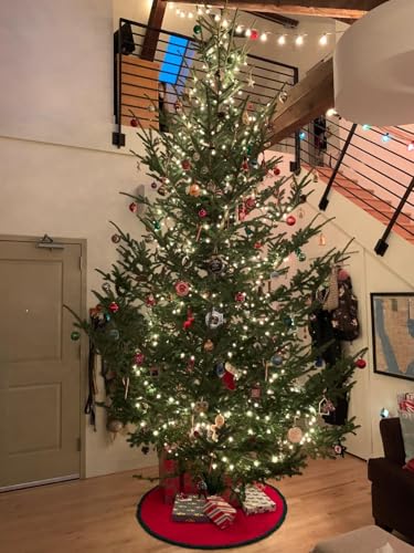 Heavy Duty Welded Steel Christmas Tree Stand for Live Trees 5 to 12 Ft
