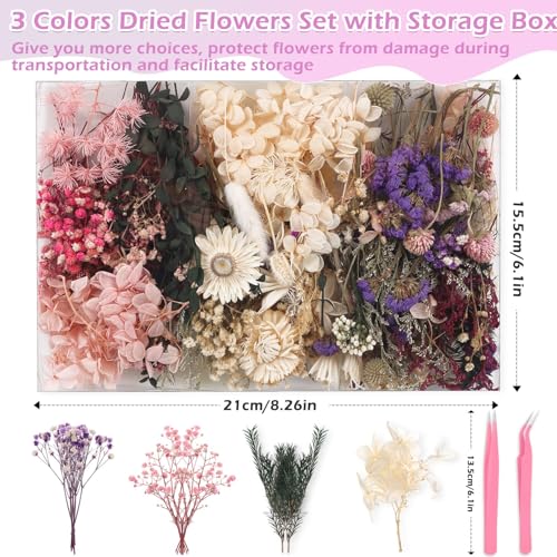 Natural Real Dried Flowers Set for DIY Resin Crafts, Jewelry & Candles