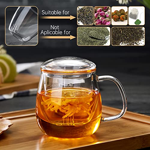 DOPUDO 17.6oz Borosilicate Glass Tea Cup with Infuser & Lid - Microwave Safe