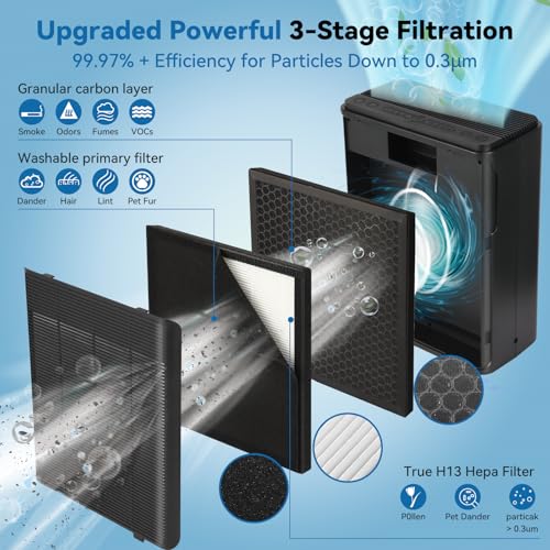 Large Room Air Purifier for Home with H13 HEPA Filter, Black