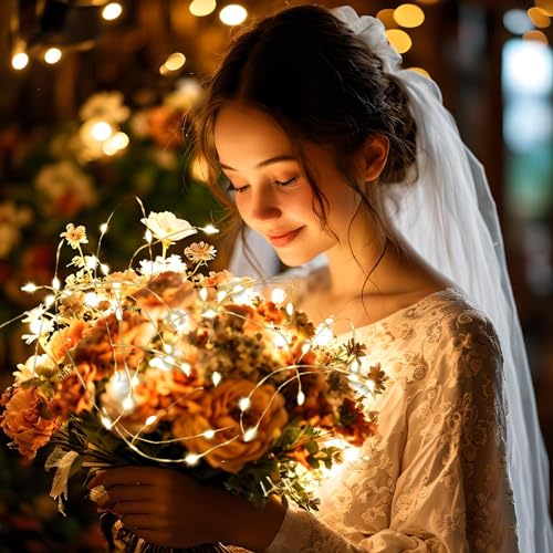 6 Pack Warm White Fairy Lights, 3.3ft Each - 10 LEDs, High Brightness (Etinga)