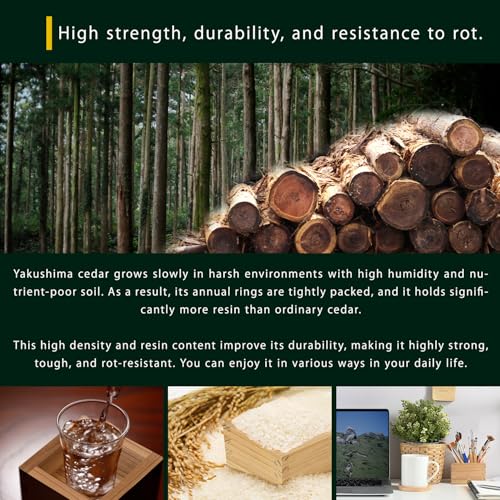 Morikuru Yakushima Cedar Masu Cup 172ml - Authentic Japanese Wooden Sake & Salt Cellar, Variation 1