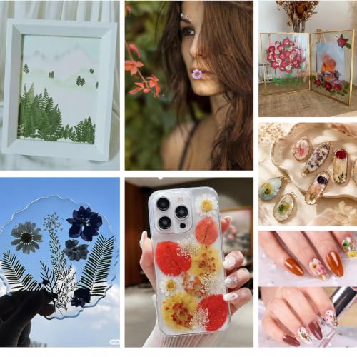 Pressed Dried Flowers and Leaves Set with Tweezers - 140 Pcs for Resin Art