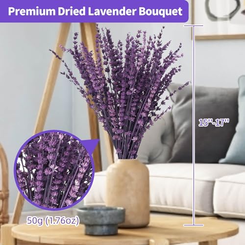 Preserved Lavender Flowers Bouquet - 15-17" Natural Dried Stems Decor