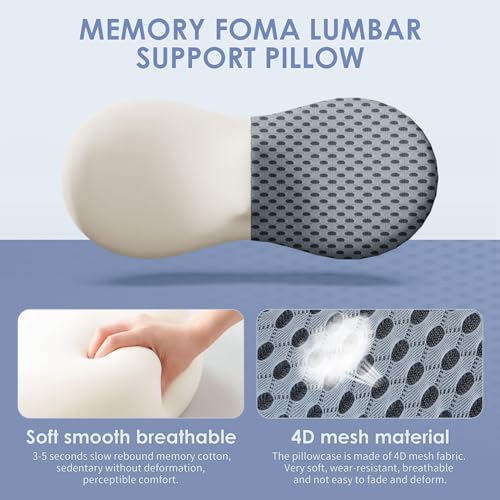 Memory Foam Lumbar Support Pillow for Back Pain Relief - Gray