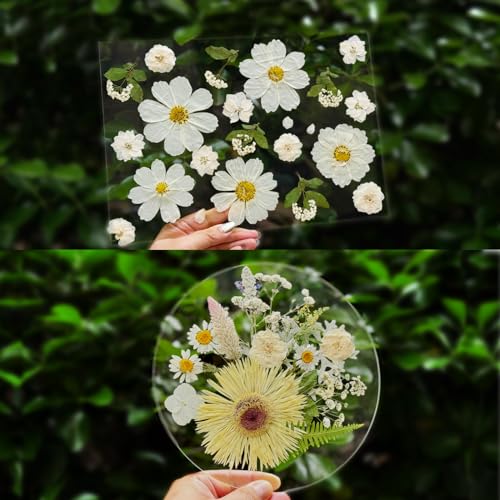 Natural Pressed Dried Flowers for Resin Art, Jewelry Making, and Crafts