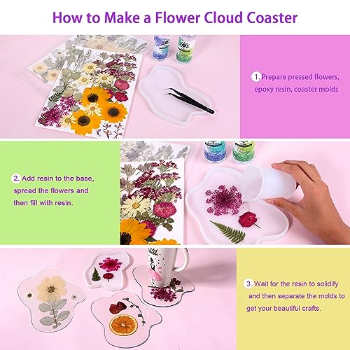 Large Natural Dried Pressed Flowers Set (50+ Pcs) for DIY Crafts & Resin