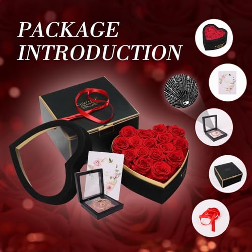 Preserved Red Roses in Heart Gift Box with 100 Languages I Love You Necklace