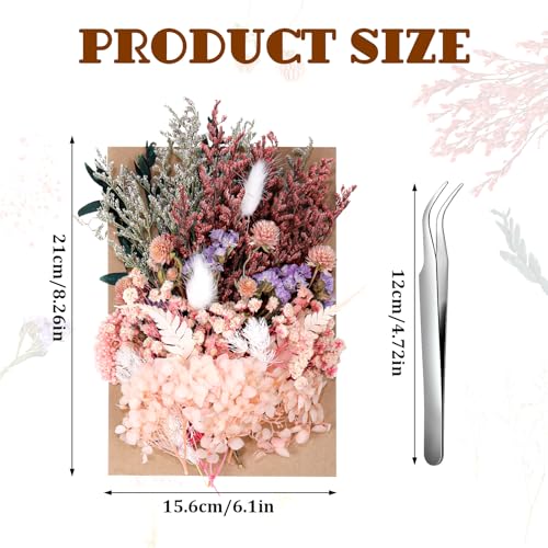 Natural Dried Pressed Flowers for Resin Art, Candle Making and DIY Crafts