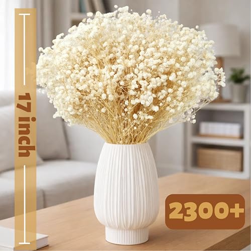 Dried Baby's Breath Flowers, 17-Inch Natural Ivory White Gypsophila Bouquet