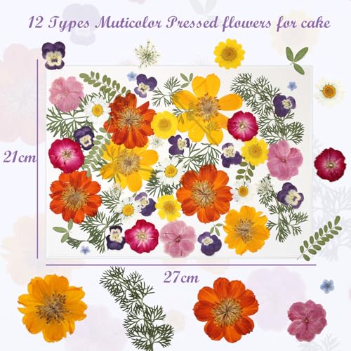 Natural Dried Pressed Flowers, 48-Piece Assorted Real Floral Set for Crafts