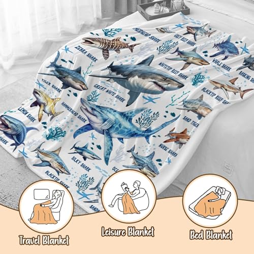 Kegono 50x60 Inch Shark Blanket for Ocean Animal Lovers - Full Size, Ultra-Soft Flannel