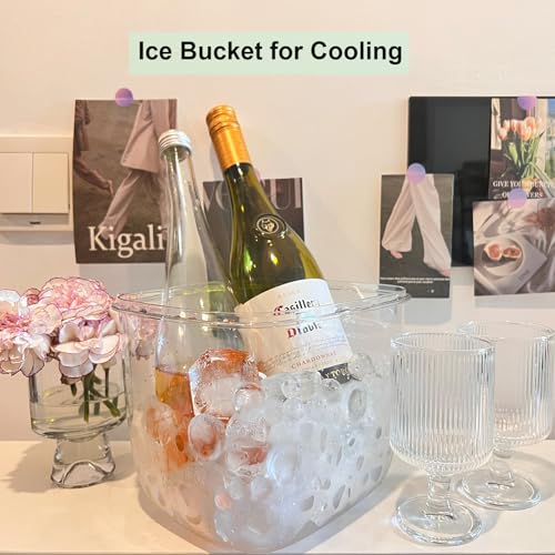 Yamteck Small Portable Ice Bucket with Lid & Tongs - Clear Plastic for Camping & Drinks
