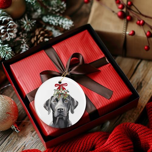 DIENADFX Labrador Mistletoe Ceramic Christmas Ornament – Black Labrador Gift, Double-Sided 3"