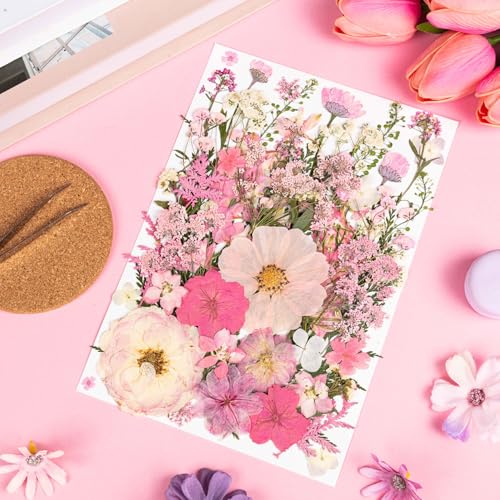 50 Pcs Pink Pressed Dried Flowers & Leaves with Tweezers for Resin Crafts & DIY
