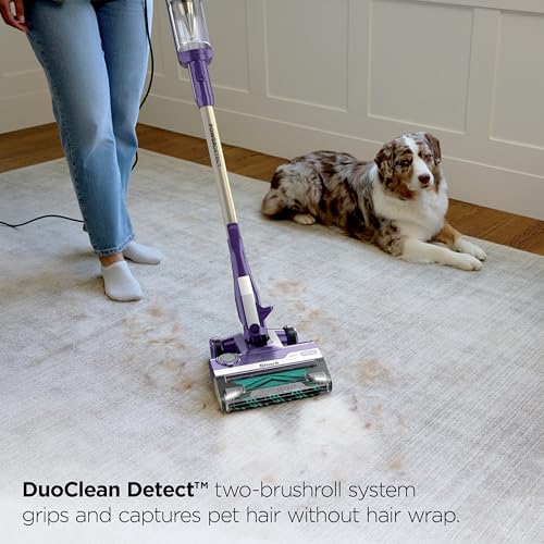 PowerDetect Corded Stick Vacuum with Self-Cleaning Brushroll, Eggplant
