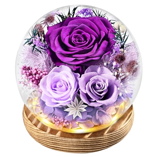 Preserved Purple Rose in Glass Dome with LED Lights, Eternal Flower Gift