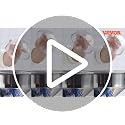 Electric Grain Mill Grinder 3000W Commercial Corn Spice Cereal Mill