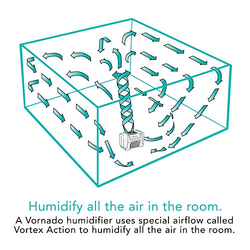 Vornado Evap40 Large Room Evaporative Humidifier 4-Gallon Dual Tank