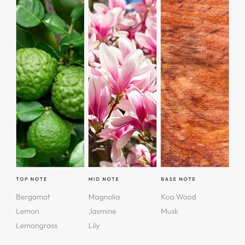 24K Magic Fragrance Oil Blend 50ML - Luxury Citrus & Floral Home Scent