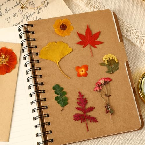 Real Dried Pressed Flowers & Leaves for DIY Resin Crafts - 100 Pcs Set