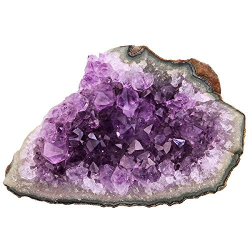 Natural Amethyst Quartz Crystal Cluster Geode Specimen, 1-2 Inch