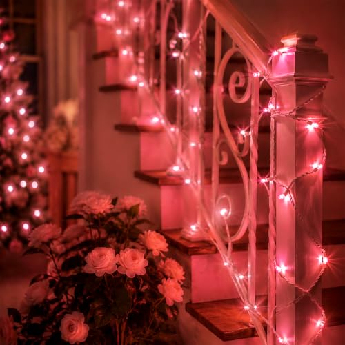Heyworld 100 LED Pink Twinkle Christmas String Lights Romantic Glow