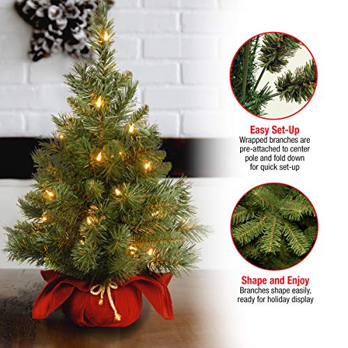 24-Inch Pre-Lit Mini Fir Christmas Tree with 35 Clear Lights & Red Base