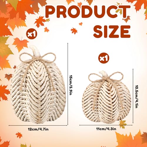 Set of 2 Resin Pumpkin Figurines, Faux Rattan White Fall Tabletop Decor