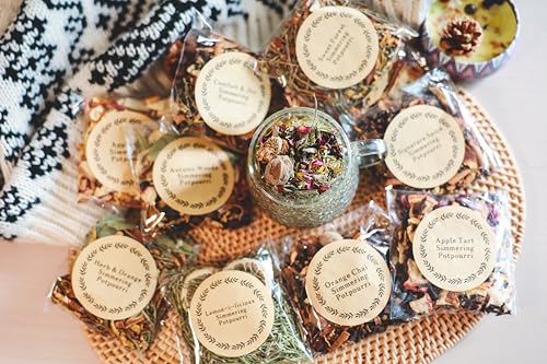 Stove Top Simmering Potpourri Kit - 10 All-Natural Dried Fruit & Spice Blends
