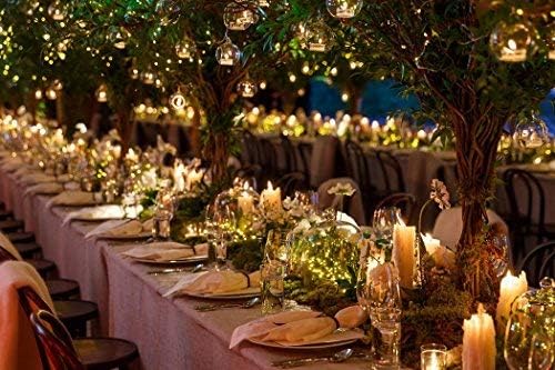 Dailyart 120 LED Starry Lights - 6 Feet Waterproof Dark Green Copper Wire Fairy String Lights for Weddings, Parties & Gardens