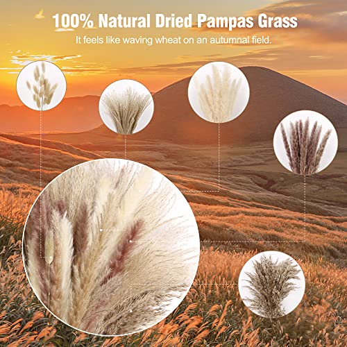 75 Pcs Natural Dried Pampas Grass Decor - Fluffy Boho Bouquet for Vases