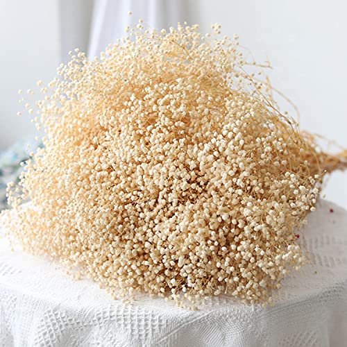 Natural Dried Baby's Breath Flowers Bouquet, 16-17 Inch Gypsophila Bundle