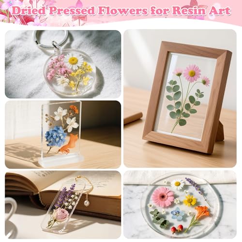 630 Pcs Dried Pressed Flowers and Butterfly Stickers Set for DIY Crafts