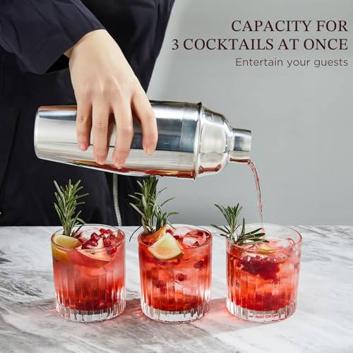 24oz Stainless Steel Cocktail Shaker Set with Strainer, Jigger & Spoon