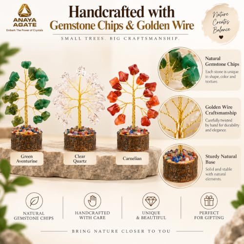 Gemstone Tree Set of 12 - ANAYA AGATE Mini Crystal Bonsai Gift Set for Chakra Healing