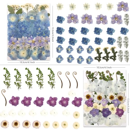 140Pcs Natural Dried Pressed Hydrangea Flowers for Resin Art & DIY Crafts