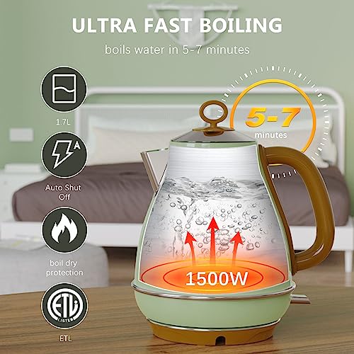 Evoloop 1.7L Electric Kettle - Glossy Green, BPA-Free Stainless Steel Tea & Hot Water Boiler, Auto Shut-Off, 1500W