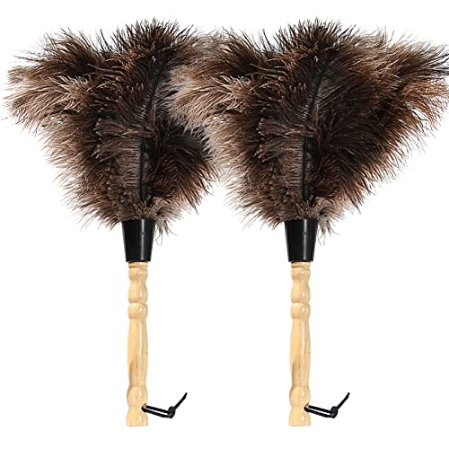 14-Inch Natural Ostrich Feather Duster with Wooden Handle & Hanging Loop