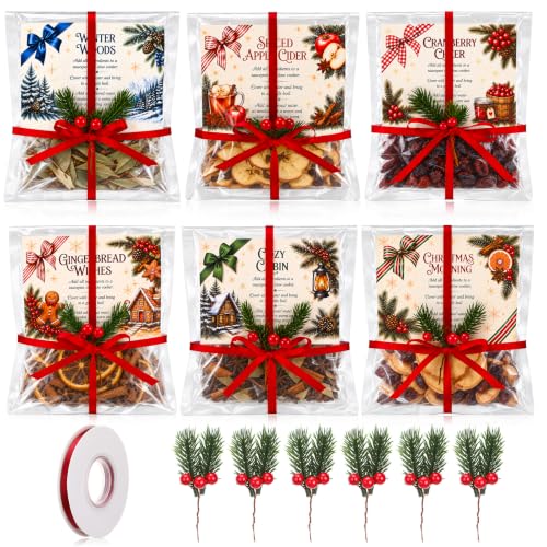 Loopeer 6 Pack Christmas Simmer Pot Potpourri Kit - Holiday Gift Set with Labels & Decorations