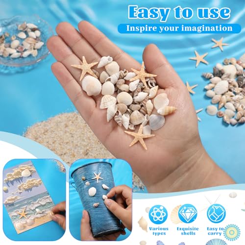 1200 Pcs Natural Mini Seashells & Starfish Set for DIY Crafts & Decor
