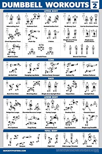 Palace Learning Dumbbell Workout Posters Set - 4-Pack with Resistance Bands Exercise Chart